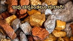 ಇವು ಚಿನ್ನಕ್ಕಿಂತಲೂ Costly; 1 ಗ್ರಾಂ ಬೆಲೆ ಕೋಟಿ ಕೋಟಿ! ಯಾವುವು ಗೊತ್ತಾ?