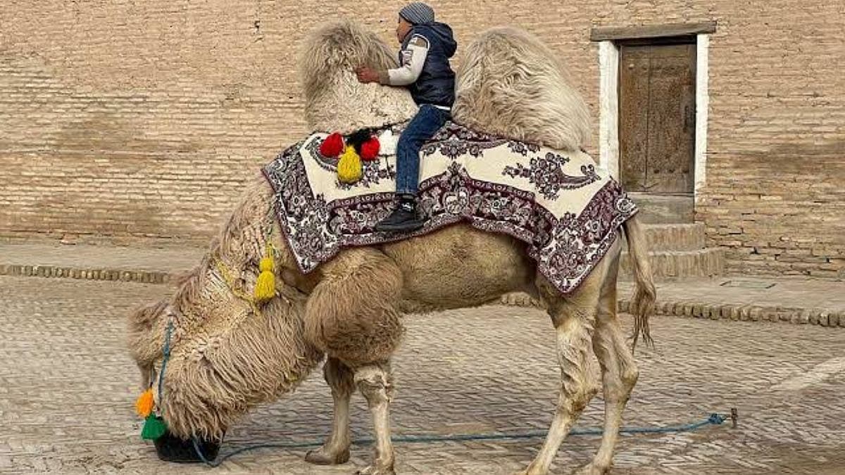 Uzbekistan