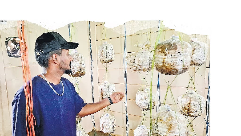 ಬೈಕ್‌ನಲ್ಲಿ ಅಣಬೆ ಹೊತ್ತು ಮಾರುತ್ತಿದ್ದ ರೈತ ಇಂದು ಉದ್ಯೋಗದಾತ; 30 ಬ್ಯಾಗ್‌ಗಳಿಂದ 200 ಕೆ.ಜಿ mushroom ಬೆಳೆದ ಮಹೇಶ್‌ ಯಶೋಗಾಥೆ..!
