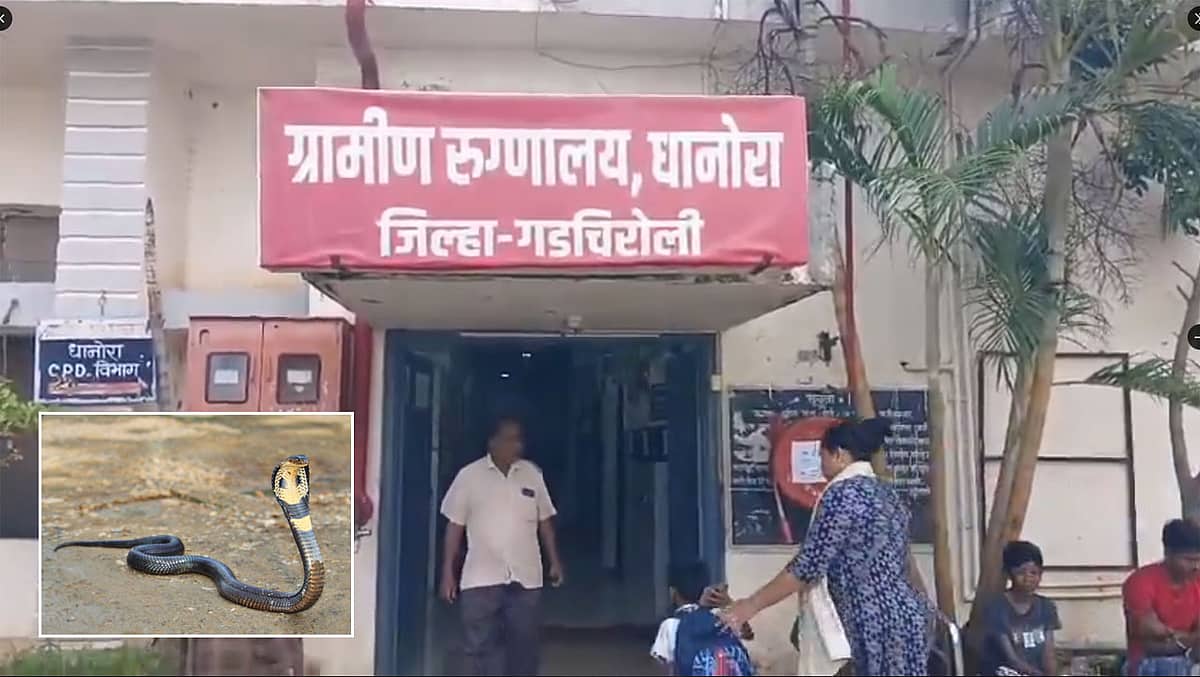 Maharashtra: ಶಾಲಾ ಹಾಸ್ಟೆಲ್ನಲ್ಲಿ ಭೀಕರ ದುರಂತ; ಮಲಗಿದ್ದ 6 ಬಾಲಕಿಯರಿಗೆ ಹಾವು ಕಡಿತ, ಮೂವರ ಸಾವು!