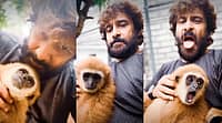 "ಶ್ರೀಮಂತರಿಗೆ ಕಾನೂನು ಅನ್ವಯಿಸಲ್ವಾ?": ಅಳಿವಿನಂಚಿನಲ್ಲಿರುವ ವಿದೇಶಿ ಪ್ರಾಣಿ ಸಾಕಿದ ಆರೋಪ; ನಟ Chiyaan Vikram ವಿರುದ್ಧ ಆಕ್ರೋಶ..!