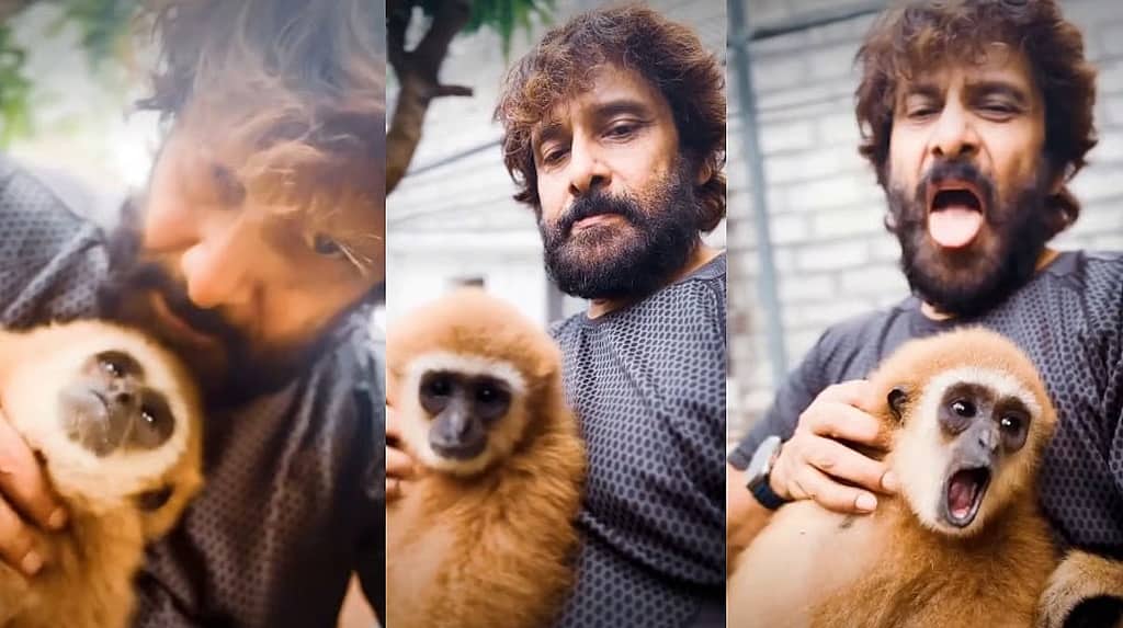 "ಶ್ರೀಮಂತರಿಗೆ ಕಾನೂನು ಅನ್ವಯಿಸಲ್ವಾ?": ಅಳಿವಿನಂಚಿನಲ್ಲಿರುವ ವಿದೇಶಿ ಪ್ರಾಣಿ ಸಾಕಿದ ಆರೋಪ; ನಟ Chiyaan Vikram ವಿರುದ್ಧ ಆಕ್ರೋಶ..!
