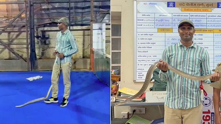 ಬಾಲಿವುಡ್ ಸೂಪರ್ ಸ್ಟಾರ್ ಶಾರುಖ್ ಖಾನ್ 'ಮನ್ನತ್' ನಿವಾಸದಲ್ಲಿ 8 ಅಡಿ ಉದ್ದದ ಹಾವಿನ ರಕ್ಷಣೆ! ಮತ್ತೊಂದು ನಾಪತ್ತೆ