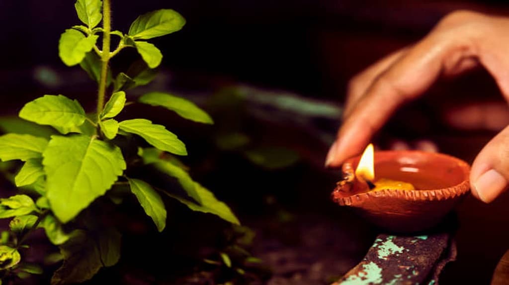 ಸಂಗ್ರಹ ಚಿತ್ರ