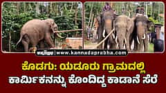 Watch | ಕೊಡಗು: ಯಡೂರು ಗ್ರಾಮದಲ್ಲಿ ಕಾರ್ಮಿಕನನ್ನು ಕೊಂದಿದ್ದ ಕಾಡಾನೆ ಸೆರೆ