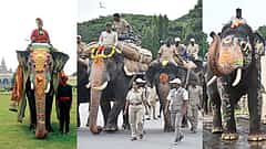 ಇವನೇನಾ ಅಭಿಮನ್ಯು ಉತ್ತರಾಧಿಕಾರಿ? ದಸರಾಗೆ ಬರ್ತನಾ ಭೀಮ? ಜಂಬೂಸವಾರಿಯ ಮುಂದಿನ ಕ್ಯಾಪ್ಟನ್ ಬಗ್ಗೆ ಅರಣ್ಯ ಇಲಾಖೆ ಹೇಳಿದ್ದಿಷ್ಟು
