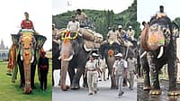 ಇವನೇನಾ ಅಭಿಮನ್ಯು ಉತ್ತರಾಧಿಕಾರಿ? ದಸರಾಗೆ ಬರ್ತನಾ ಭೀಮ? ಜಂಬೂಸವಾರಿಯ ಮುಂದಿನ ಕ್ಯಾಪ್ಟನ್ ಬಗ್ಗೆ ಅರಣ್ಯ ಇಲಾಖೆ ಹೇಳಿದ್ದಿಷ್ಟು