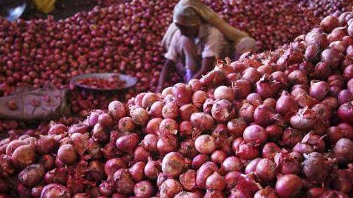 Onion Price: ಈರುಳ್ಳಿ ಬೆಲೆ ದಿಢೀರ್ ಏರಿಕೆ; ಸೆಪ್ಟೆಂಬರ್-ಅಕ್ಟೋಬರ್ನಲ್ಲಿ ಮತ್ತಷ್ಟು ದುಬಾರಿ ಸಾಧ್ಯತೆ; ಕಾರಣವೇನು?