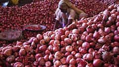 Onion Price: ಈರುಳ್ಳಿ ಬೆಲೆ ದಿಢೀರ್ ಏರಿಕೆ; ಸೆಪ್ಟೆಂಬರ್-ಅಕ್ಟೋಬರ್ನಲ್ಲಿ ಮತ್ತಷ್ಟು ದುಬಾರಿ ಸಾಧ್ಯತೆ; ಕಾರಣವೇನು?
