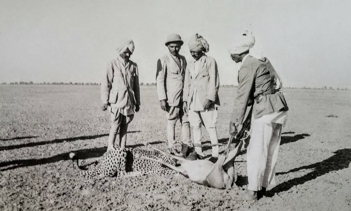 ಇಂದಿನ ತುಂಗಭದ್ರಾ ಅಣೆಕಟ್ಟು ಇರುವ ಹೆಸರಾರು ಗ್ರಾಮದ ಸಮತಟ್ಟಾದ ಸವನ್ನಾ
