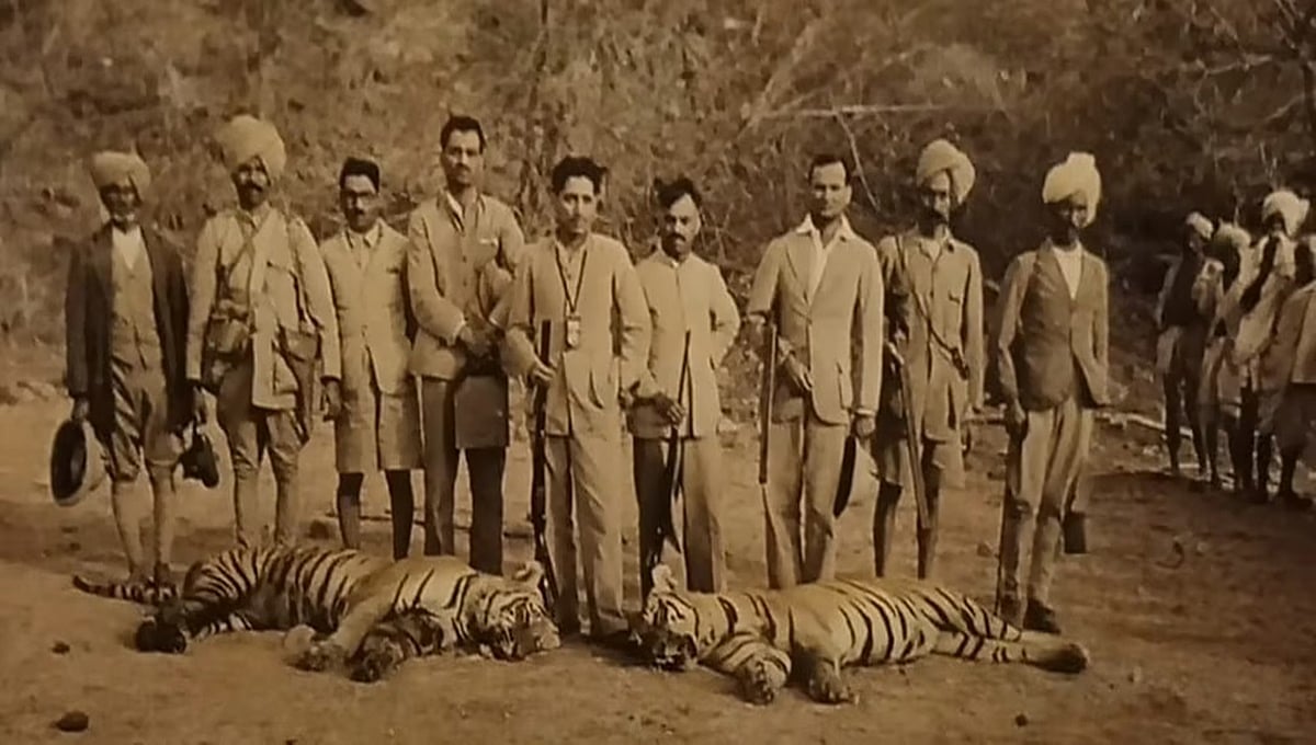 70ರ ದಶಕದಲ್ಲಿ ಸಮೃದ್ಧವಾಗಿತ್ತು ಹುಲಿ ಸಂತತಿ: ಕಿಷ್ಕಿಂದೆಯಲ್ಲಿದೆ ವ್ಯಾಘ್ರ ಬೇಟೆಯ ಐತಿಹ್ಯ; ಈಗ ಎಲ್ಲಿಂದ ಬಂತು ಎಂಬುದೇ ಚಿದಂಬರ ರಹಸ್ಯ!