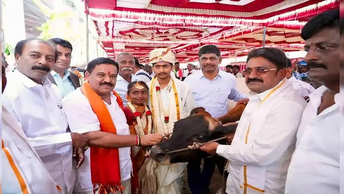 ಚಿಕ್ಕಬಳ್ಳಾಪುರದಲ್ಲಿ ಸಾಮೂಹಿಕ ವಿವಾಹ: 125 ಜೋಡಿಗಳಿಗೆ ಸೀಮೆ ಹಸು ಉಡುಗೊರೆ ನೀಡಿದ ಕಾಂಗ್ರೆಸ್ ಶಾಸಕ!