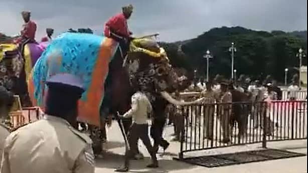 ಮೈಸೂರು ದಸರಾ: ಅರಮನೆಯಲ್ಲಿ ಕ್ಷಣಕಾಲ ಆತಂಕ; ಸ್ವಾಗತ ವೇಳೆ ಸಿಟ್ಟಿಗೆದ್ದ ಶ್ರೀರಾಮ ಆನೆ! Video