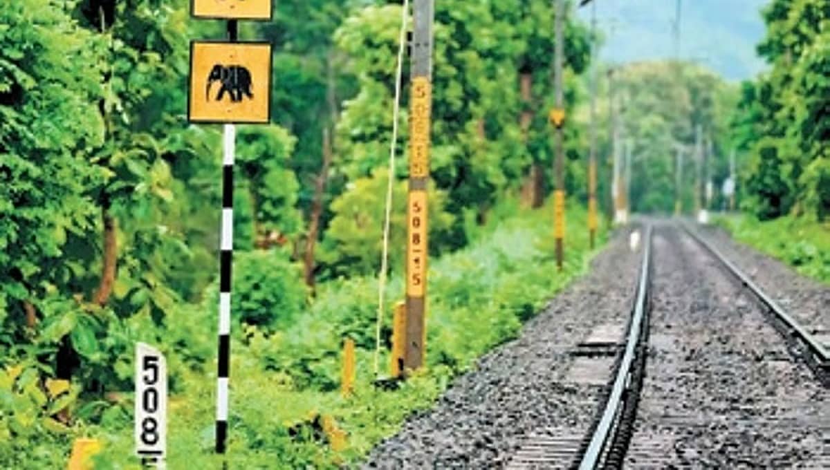 ದೊಡ್ಡಬಳ್ಳಾಪುರ: ಹಳಿ ದಾಟುತ್ತಿದ್ದ ವೇಳೆ ಹರಿದ ರೈಲು; ಅಜ್ಜಿ ಇಬ್ಬರು ಮೊಮ್ಮಕ್ಕಳು ದಾರುಣ ಸಾವು; ದಿಕ್ಕಾಪಾಲಾಗಿ ಬಿದ್ದ ದೇಹಗಳು!