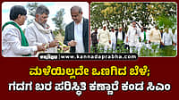 Watch | ಮಳೆಯಿಲ್ಲದೇ ಒಣಗಿದ ಬೆಳೆ; ಗದಗ ಬರ ಪರಿಸ್ಥಿತಿ ಕಣ್ಣಾರೆ ಕಂಡ ಸಿಎಂ