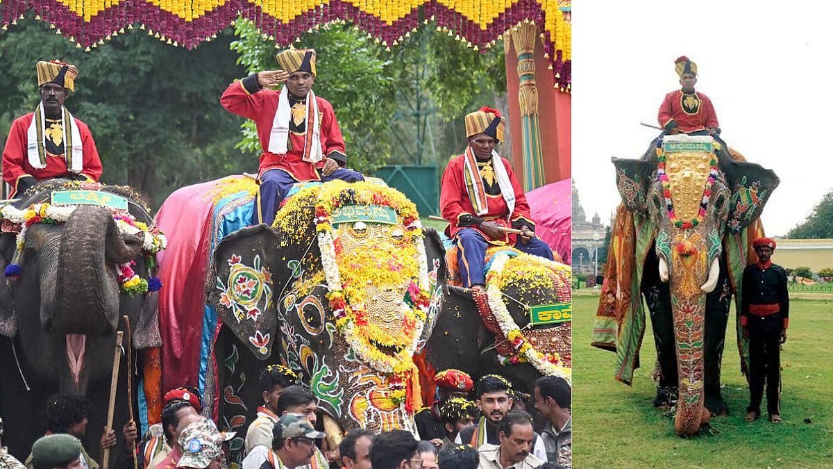ಚಿನ್ನದ ಅಂಬಾರಿ ವೀರನಿಗೆ ರಾಜಮರ್ಯಾದೆ: 2026ರ ದಸರಾದಲ್ಲಿ ನಿಶಾನೆ ಆನೆಯಾಗಿ 'ಅಭಿಮನ್ಯು', ಪಟ್ಟದ ಆನೆಯಾಗಿ ಶ್ರೀಕಂಠ ಆಯ್ಕೆ; Video