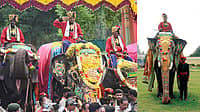 ಚಿನ್ನದ ಅಂಬಾರಿ ವೀರನಿಗೆ ರಾಜಮರ್ಯಾದೆ: 2026ರ ದಸರಾದಲ್ಲಿ ನಿಶಾನೆ ಆನೆಯಾಗಿ 'ಅಭಿಮನ್ಯು', ಪಟ್ಟದ ಆನೆಯಾಗಿ ಶ್ರೀಕಂಠ ಆಯ್ಕೆ; Video
