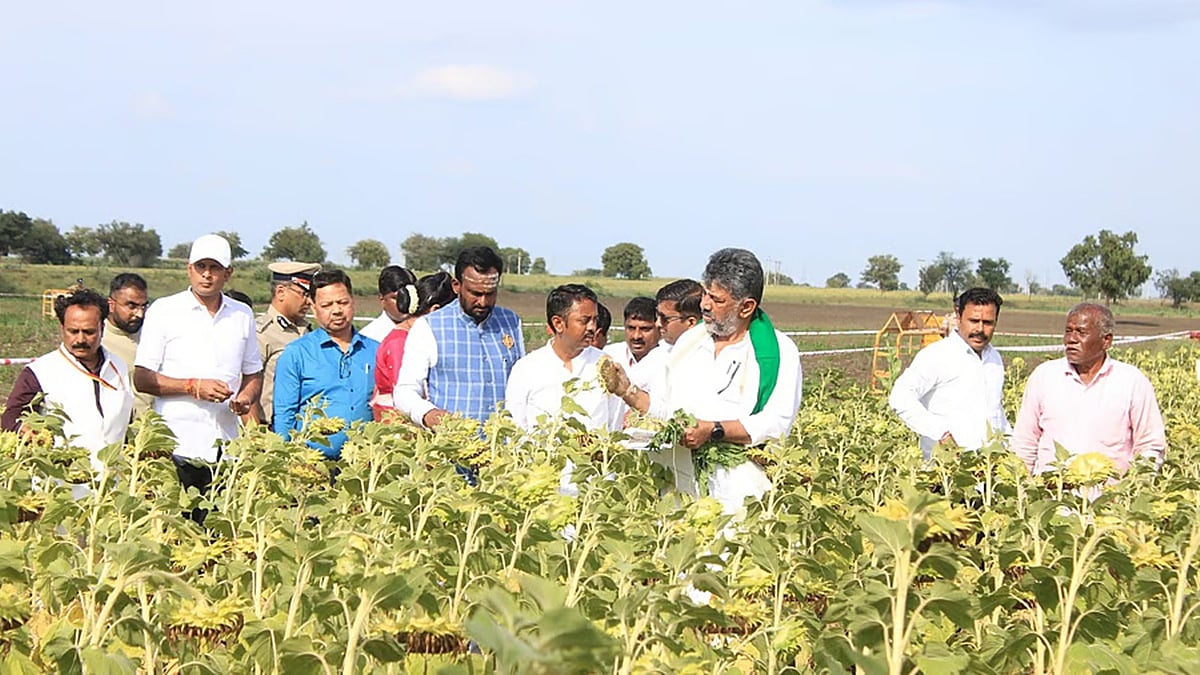 ಕೇವಲ ಬರ ವೀಕ್ಷಣೆಯಲ್ಲ; ರೈತರ ಜೀವನ ದರ್ಶನ: ಮಳೆ ಬಂದು ಎಷ್ಟು ದಿನ ಆಯಿತು? ಯಾವಾಗ ಬಿತ್ತನೆ ಮಾಡಿದ್ದು? ರೈತನಿಂದ ಮಾಹಿತಿ ಪಡೆದ ಸಿಎಂ; Video