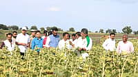 ಕೇವಲ ಬರ ವೀಕ್ಷಣೆಯಲ್ಲ; ರೈತರ ಜೀವನ ದರ್ಶನ: ಮಳೆ ಬಂದು ಎಷ್ಟು ದಿನ ಆಯಿತು? ಯಾವಾಗ ಬಿತ್ತನೆ ಮಾಡಿದ್ದು? ರೈತನಿಂದ ಮಾಹಿತಿ ಪಡೆದ ಸಿಎಂ; Video