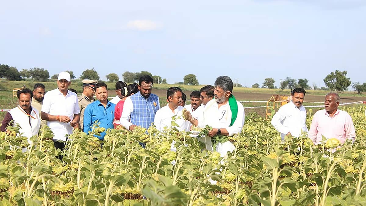 ಕೇವಲ ಬರ ವೀಕ್ಷಣೆಯಲ್ಲ; ರೈತರ ಜೀವನ ದರ್ಶನ: ಮಳೆ ಬಂದು ಎಷ್ಟು ದಿನ ಆಯಿತು? ಯಾವಾಗ ಬಿತ್ತನೆ ಮಾಡಿದ್ದು? ರೈತನಿಂದ ಮಾಹಿತಿ ಪಡೆದ ಸಿಎಂ; Video