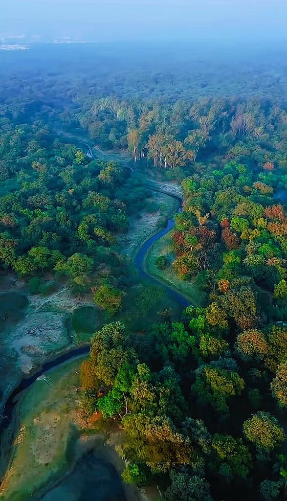 ಸಂಗ್ರಹ ಚಿತ್ರ