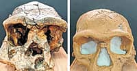ಕರ್ನಾಟಕದ ಎರಡು ಇತಿಹಾಸಪೂರ್ವ ತಾಣಗಳು: NCERT ಪಠ್ಯಕ್ರಮಕ್ಕೆ ಸೇರ್ಪಡೆ