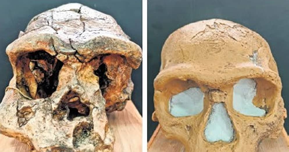 ಕರ್ನಾಟಕದ ಎರಡು ಇತಿಹಾಸಪೂರ್ವ ತಾಣಗಳು: NCERT ಪಠ್ಯಕ್ರಮಕ್ಕೆ ಸೇರ್ಪಡೆ