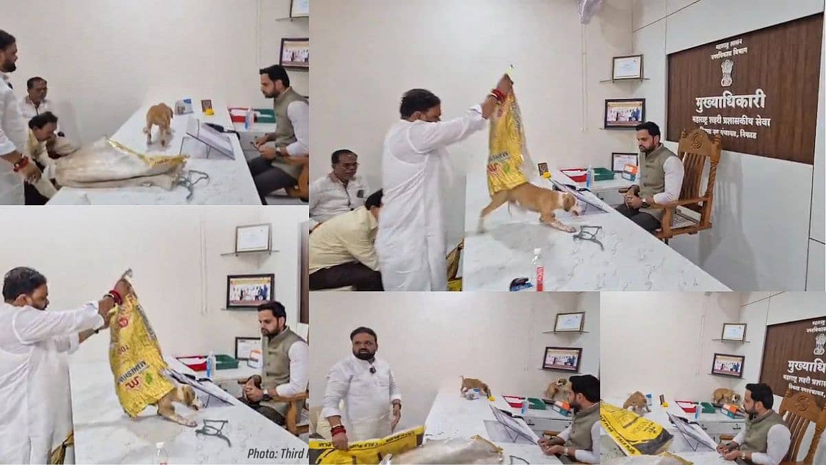ಬೀದಿ ನಾಯಿಗಳ ನಿಯಂತ್ರಣಕ್ಕೆ ಕ್ಯಾರೆ ಅನ್ನದ ಅಧಿಕಾರಿ: ಟೇಬಲ್ ಮೇಲೆಯೇ ನಾಯಿ ಮರಿಗಳನ್ನು ತಂದುಬಿಟ್ಟು ಪ್ರತಿಭಟನೆ! Video
