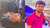 ರಸ್ತೆ ಅಪಘಾತದಲ್ಲಿ ಮಗ ಸಾವನ್ನಪ್ಪಿದ ಸುದ್ದಿ ಕೇಳಿ ಹೃದಯಾಘಾತದಿಂದ ತಂದೆ ಸಾವು; ಕುಟುಂಬದಲ್ಲಿ ಮಡುಗಟ್ಟಿದ ಆಕ್ರಂದನ!