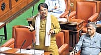 ಕಸ್ತೂರಿರಂಗನ್ ವರದಿ ವಿವಾದ: ಕೇರಳ ಮಾದರಿ ಅನುಸರಿಸಿ ಭೌತಿಕ ಸಮೀಕ್ಷೆ ನಡೆಸಿ; ಸರ್ಕಾರಕ್ಕೆ ಆರ್. ಅಶೋಕ್ ಒತ್ತಾಯ