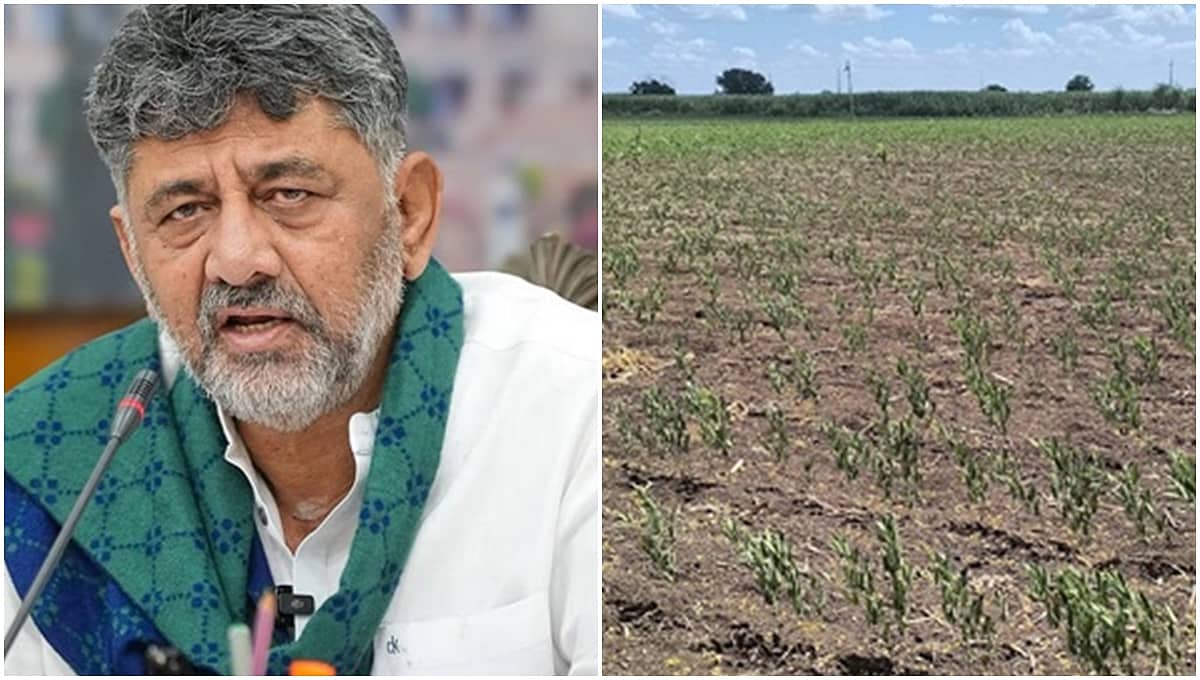 ಬರದಿಂದ ತತ್ತರಿಸಿರುವ ರಾಜ್ಯದ ರೈತರಿಗೆ ₹2,500 ಆರ್ಥಿಕ ನೆರವು: ಬ್ಯಾಂಕ್ ಖಾತೆಗಳಿಗೆ ನೇರ ಜಮೆ!