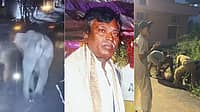 ಬೆಂಗಳೂರು: ಕೆಂಗೇರಿಯಲ್ಲಿ ಕಾಡಾನೆ ದಾಳಿಗೆ ವಾಕಿಂಗ್ ಮಾಡುತ್ತಿದ್ದ ವ್ಯಕ್ತಿ ಬಲಿ; ಮೃತನ ಕುಟುಂಬಕ್ಕೆ 20 ಲಕ್ಷ ರೂ ಪರಿಹಾರ; Video