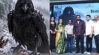 Watch | ಕಾಗೆಯೇ ನಾಯಕ: ಕನ್ನಡದ ವಿನೂತನ ಚಿತ್ರ 'ರಾವೆನ್'ನ ಟ್ರೈಲರ್