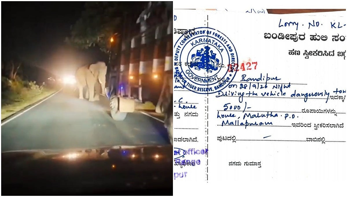 ಕಾಡಾನೆಗೆ ಡಿಕ್ಕಿ ಹೊಡೆಯಲು ಯತ್ನಿಸಿದ ಲಾರಿ ಚಾಲಕ: 5 ಸಾವಿರ ರೂ ದಂಡ ವಿಧಿಸಿದ ಅರಣ್ಯ ಇಲಾಖೆ