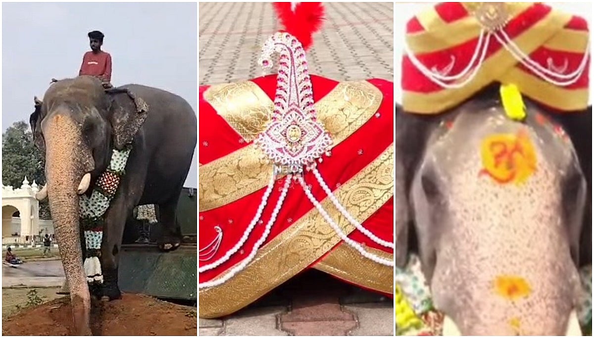 ಮೈಸೂರು ದಸರಾ: 'ನಿಶಾನೆ ಆನೆ' ಅಭಿಮನ್ಯು ಅರಮನೆಗೆ ಎಂಟ್ರಿ; Video