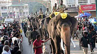 ದಸರಾ ಜಂಬೂ ಸವಾರಿ: ಧನಂಜಯನ ಹೆಗಲಿಗೆ ಚಿನ್ನದ ಅಂಬಾರಿಯ ಮಹಾ ಜವಾಬ್ದಾರಿ..?