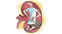 Kidney stones: ಕಿಡ್ನಿಯಲ್ಲಿ ಕಲ್ಲುಗಳಾಗುವುದೇಕೆ? ಪುರುಷರು, ಮಹಿಳೆಯರಲ್ಲಿ ಯಾರಿಗೆ ಅಪಾಯ ಹೆಚ್ಚು? ತಡೆಯುವುದು ಹೇಗೆ..?