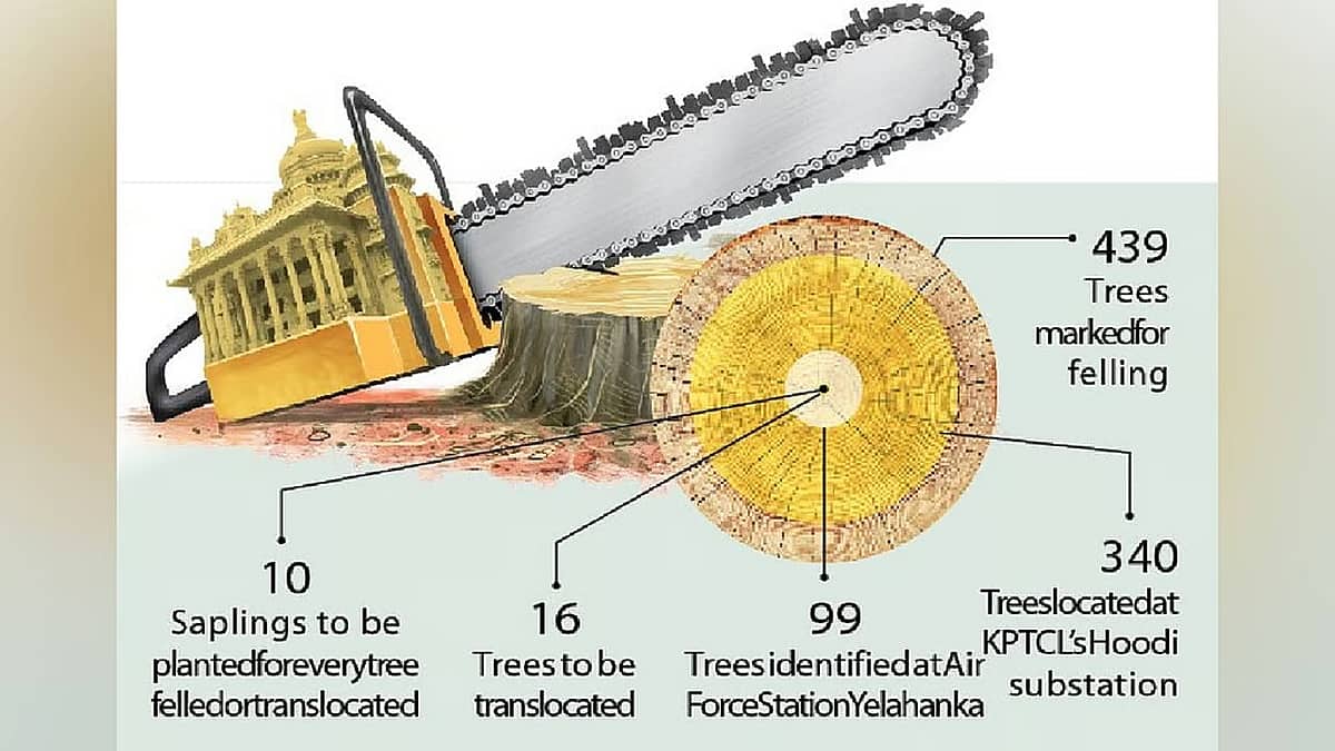 ಬೆಂಗಳೂರು: ಎರಡು ಮೂಲಸೌಕರ್ಯ ಯೋಜನೆಗಳಿಗಾಗಿ 439 ಮರಗಳ ಮಾರಣಹೋಮ