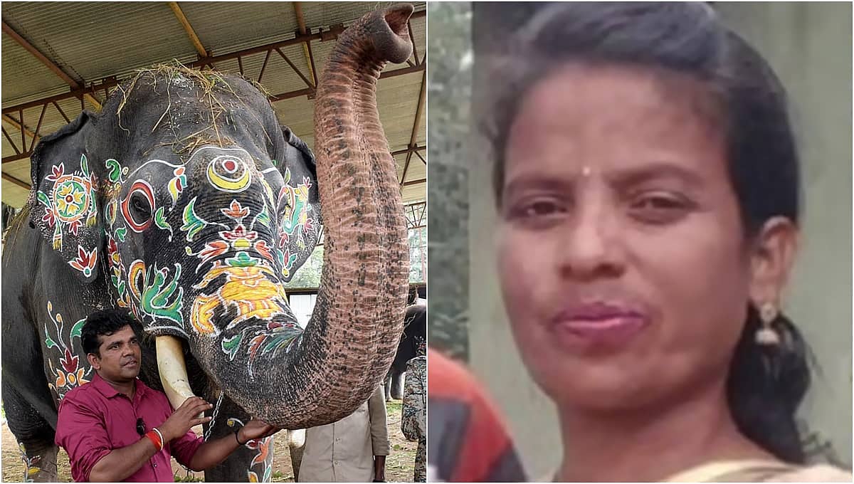 ದಸರಾ ಸಂಭ್ರಮದ ನಡುವೆ 'ಅಭಿಮನ್ಯು'ವಿನ ಮಾವುತ ವಸಂತನಿಗೆ ಆಘಾತ; ಪತ್ನಿ ಸಾವು