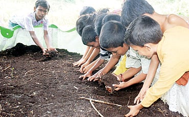 ಗರೂರು ಗೊಬ್ಬರ