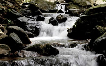 ಅರೆಕ್ಕಾನ ಫಾಲ್ಸ್