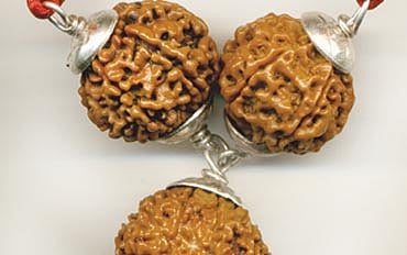 ರುದ್ರ ನೇತ್ರ