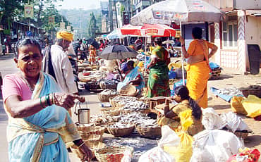 ಕಡಲ ಕಿನಾರೆಯ ಕಿನ್ನರಿಯರು!