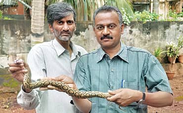 ಸ್ನೇಕ್ ಸಹವಾಸ