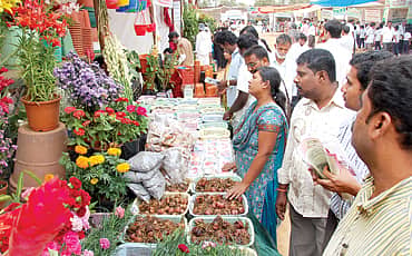 ಕೃಷಿ ಸಂಗಮ