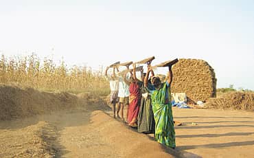 ಹಬ್ಬುತ್ತಿದೆ ಹಾರಕವೆಂಬ ಸಿರಿಧಾನ್ಯ