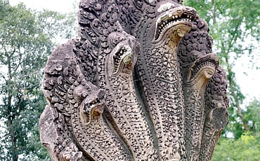 ನಾಗ ನಡೆ
