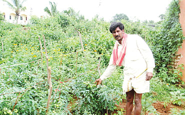 ತರಕಾರಿ ರೇವಣ್ಣ