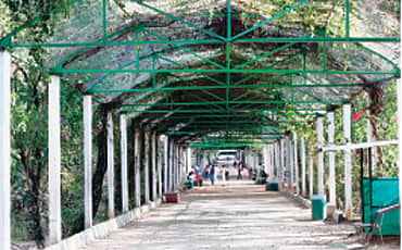 ಥಂಡಿ ಸಡಕ್