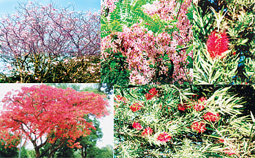 ವರ್ಣಮೇಳ